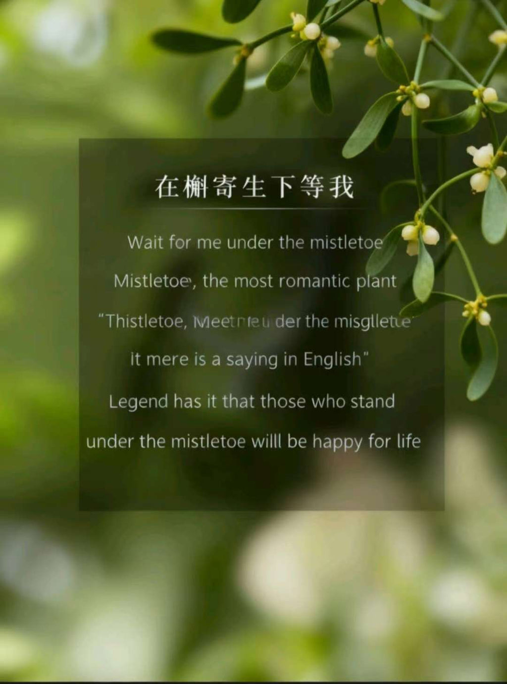 Mistletoe 999 Pure Silver Necklace for Women Summer 2025 New Popular Clavicle Chain